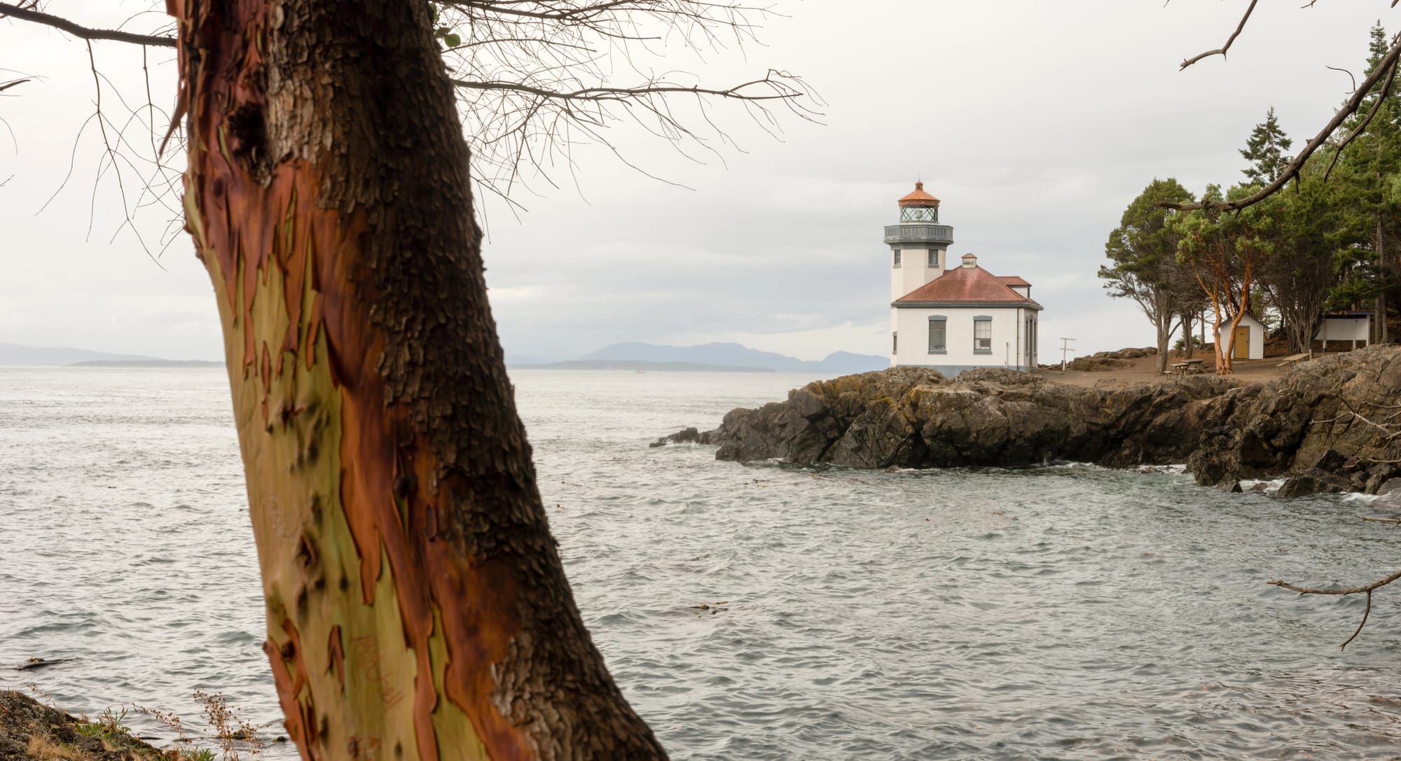 Misty overcast moutains in background. Small lighthouse on rocks overlooking Puget Sound. Madrone trees in background and foreground.